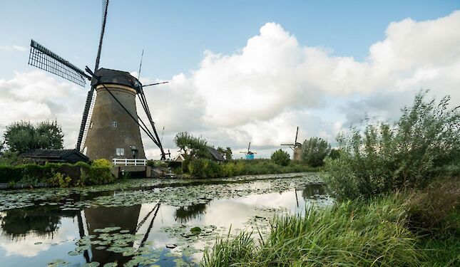 Entdecken Sie das "Grüne Herz" von Holland