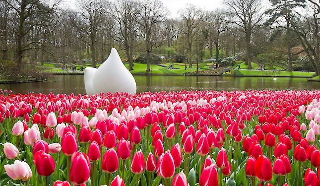 Frühling in den Niederlanden