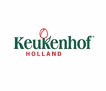 Keukenhof